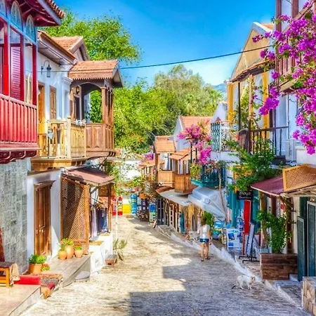 Home Alanya